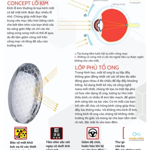 Tròng Kính Lái Xe Chống Ánh Sáng Xanh Apollo Blutect Plus Honeycomb Váng Phủ Tổ Ong Độc Quyền