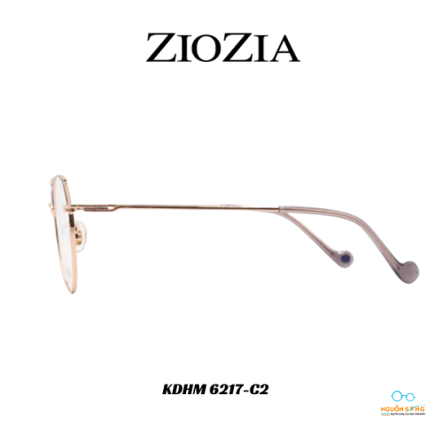 Gọng Kính Ziozia Kim Loại KDHM 6217-C2