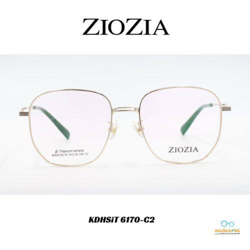 Gọng Kính Ziozia Kim Loại KDHSiT 6170-C2