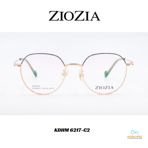 Gọng Kính Ziozia Kim Loại KDHM 6217-C2