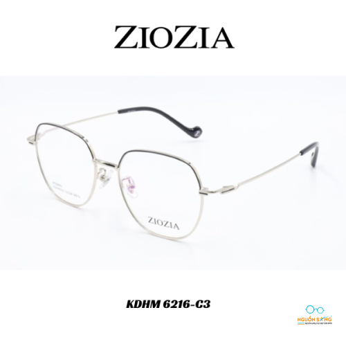 Gọng Kính Ziozia Kim Loại KDHM 6216-C3