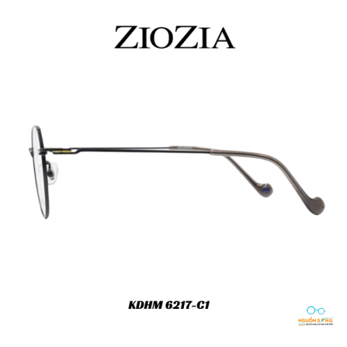 Gọng Kính Ziozia Kim Loại KDHM 6217-C1