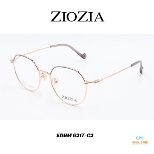 Gọng Kính Ziozia Kim Loại KDHM 6217-C2