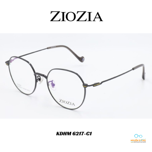 Gọng Kính Ziozia Kim Loại KDHM 6217-C1