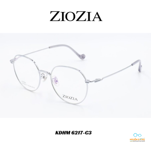Gọng Kính Ziozia Kim Loại KDHM 6217-C3