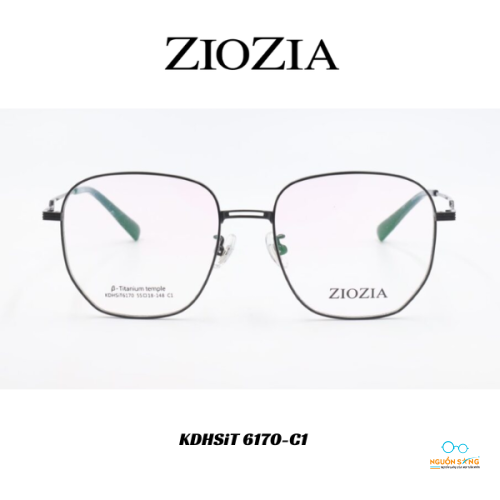 Gọng Kính Ziozia Kim Loại KDHSiT 6170-C1